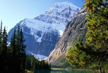 Hacking Group Ecological Partners Open Application